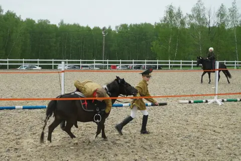 Соревнования по конкуру и выездке в КСК «Новый»