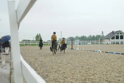 Соревнования по конкуру и выездке в КСК «Новый»